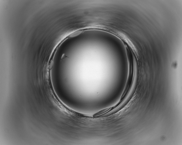 X0000099531292200805161202