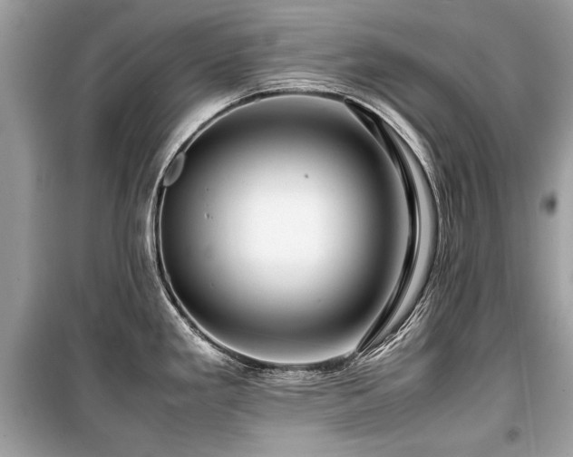 X0000099531293200805161202