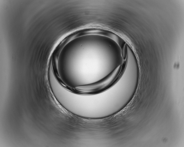 X0000099531296200805161202
