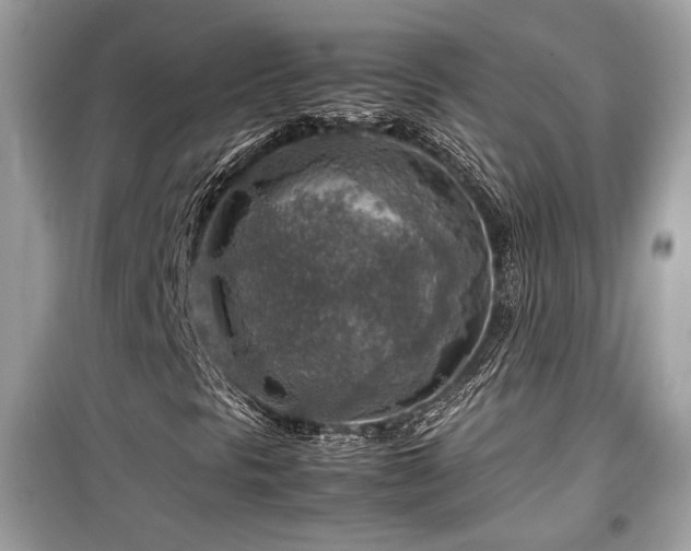 X0000099531297200805161201