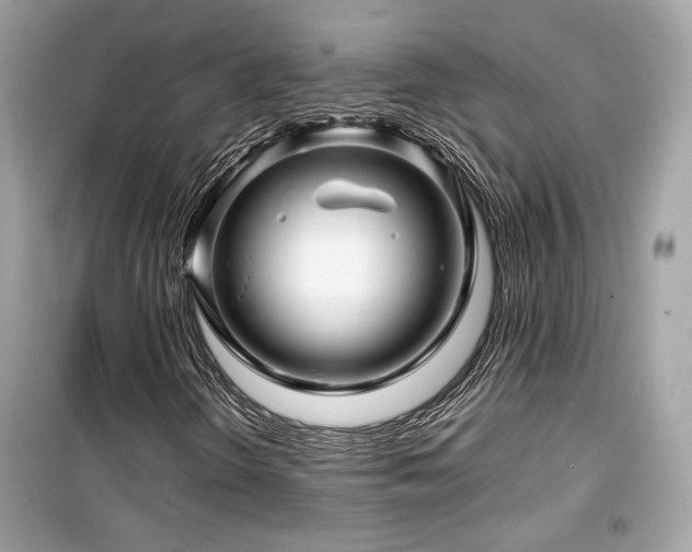 X0000099531298200805161201