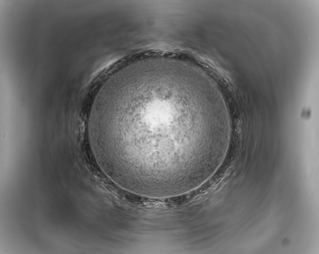 X0000099531302200805161201