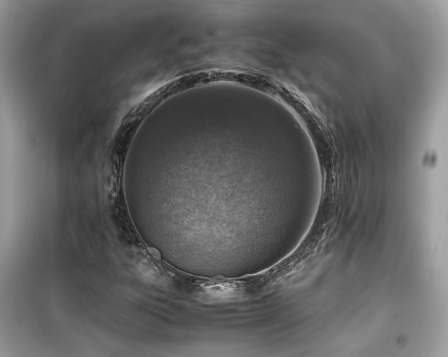 X0000099531303200805161201