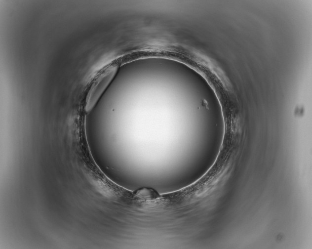 X0000099531304200805161201
