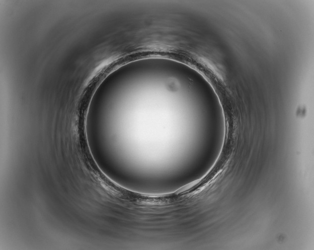 X0000099531307200805161201