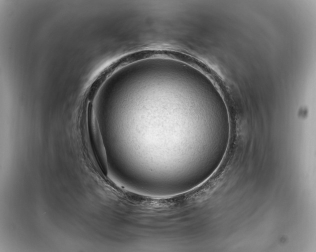 X0000099531311200805161201