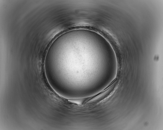 X0000099531313200805161201