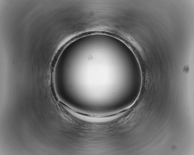X0000099531316200805161201