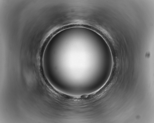 X0000099531318200805161201