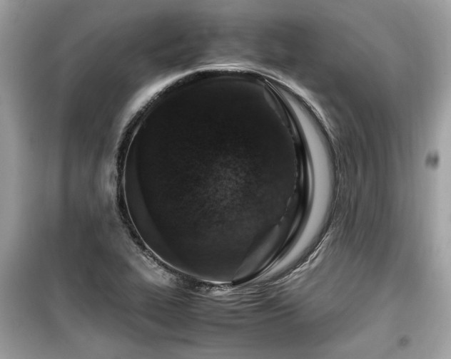 X0000099531319200805161201