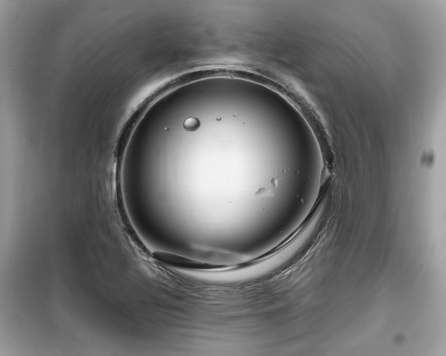 X0000099531320200805161201