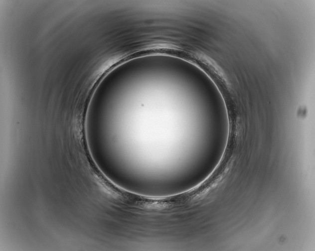 X0000099531321200805161201