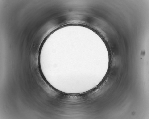 X0000099531322200805161201
