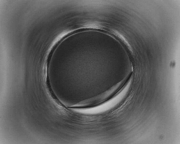 X0000099531323200805161201