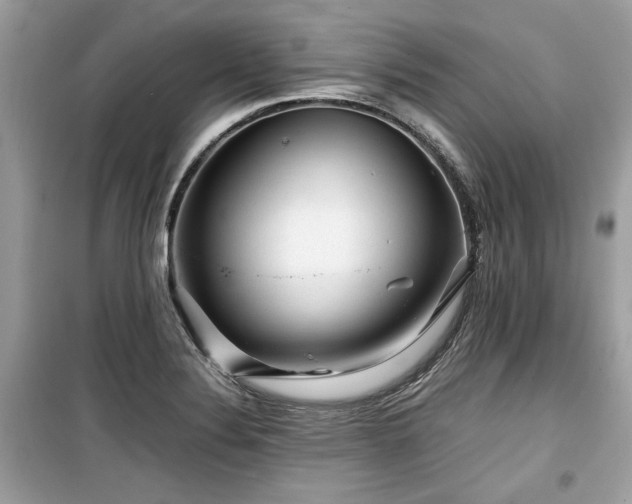 X0000099531324200805161201