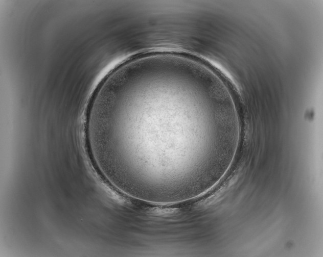 X0000099531325200805161201