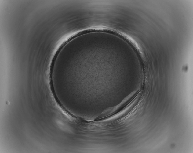 X0000099531327200805161202