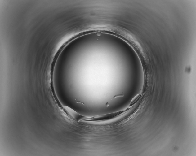 X0000099531328200805161202