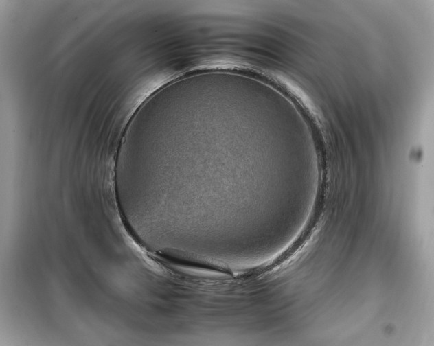 X0000099531329200805161202