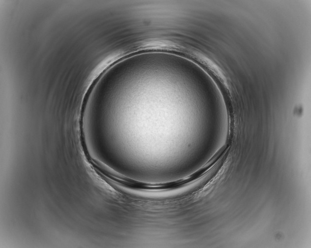 X0000099531330200805161202