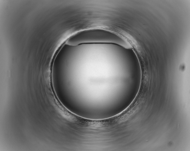 X0000099531332200805161202