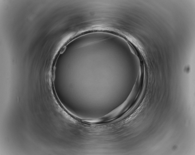 X0000099531334200805161202