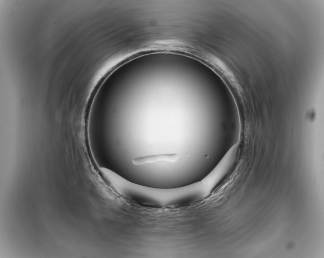 X0000099531336200805161202