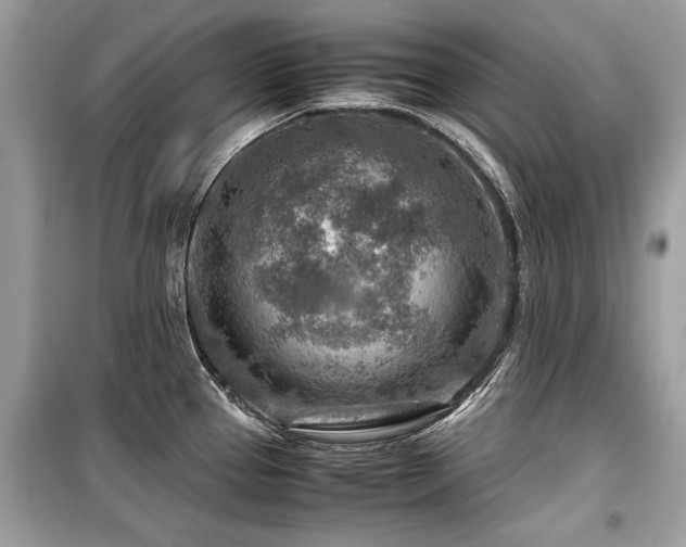 X0000099531337200805161202