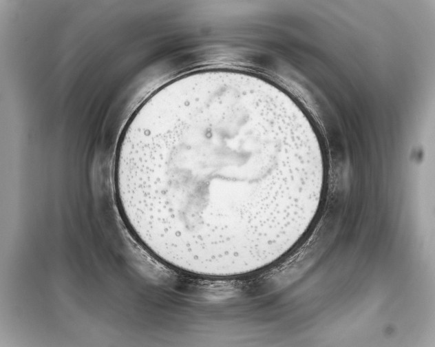 X0000099531338200805161202