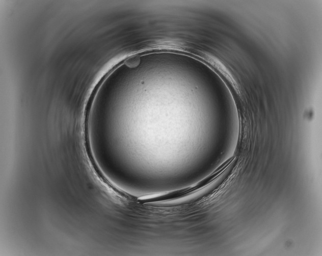 X0000099531339200805161202