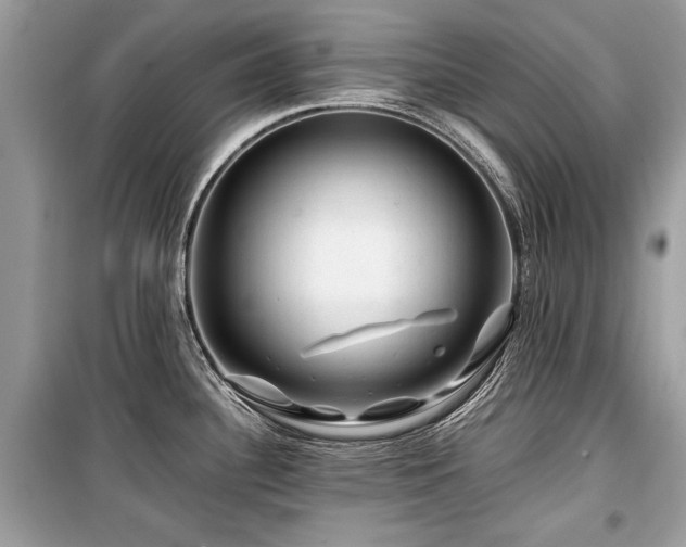 X0000099531340200805161202