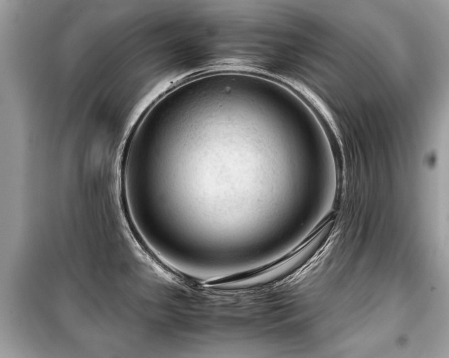X0000099531341200805161202