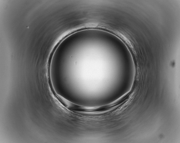 X0000099531342200805161202