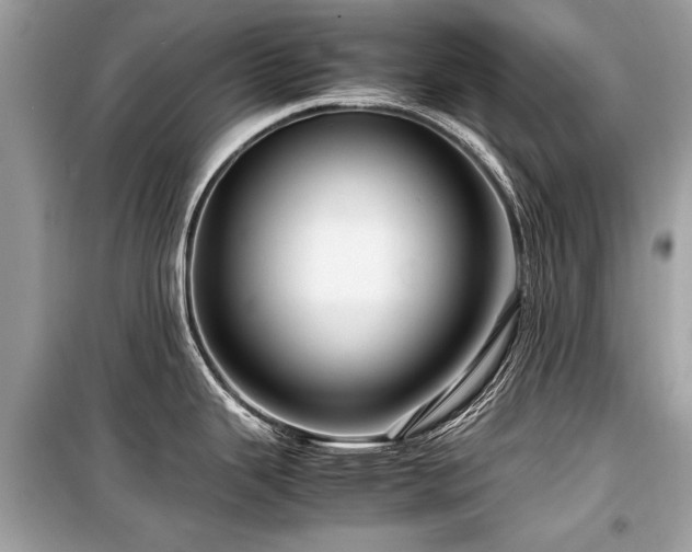X0000099531343200805161202