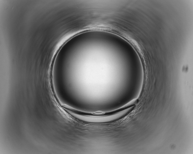 X0000099531344200805161202