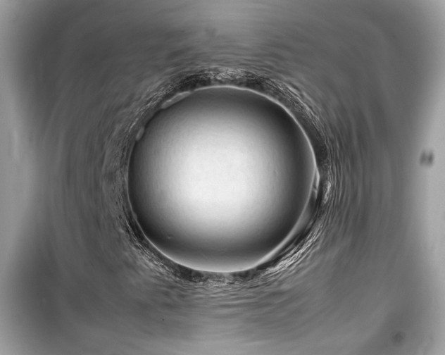 X0000099531345200805161201