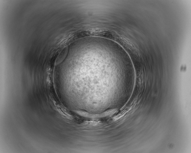 X0000099531346200805161201