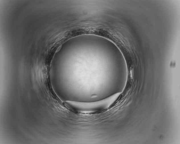 X0000099531347200805161201