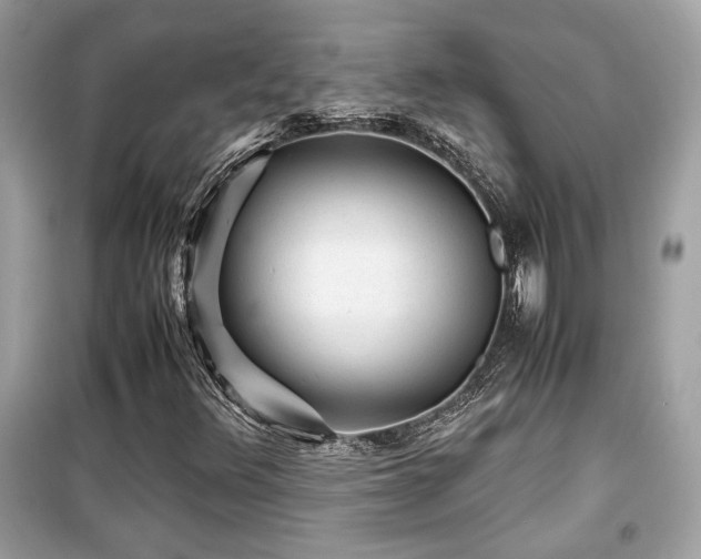 X0000099531348200805161201