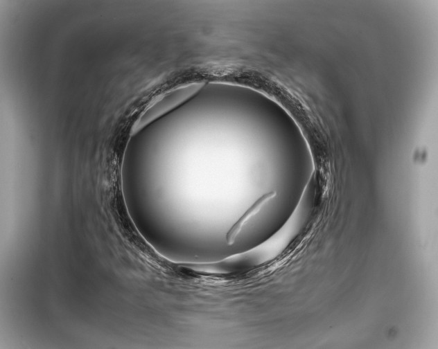 X0000099531349200805161201