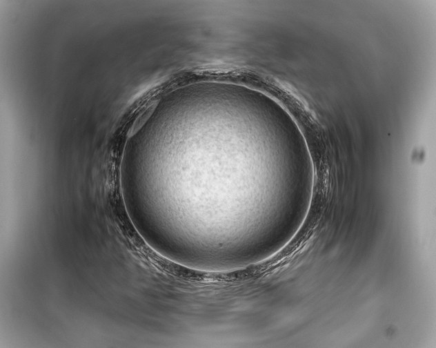 X0000099531350200805161201