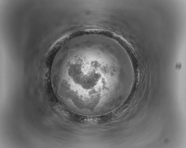 X0000099531351200805161201