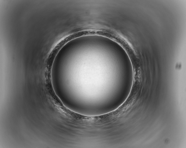 X0000099531352200805161201