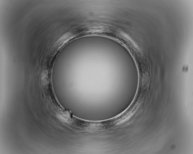 X0000099531353200805161201