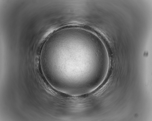 X0000099531355200805161201