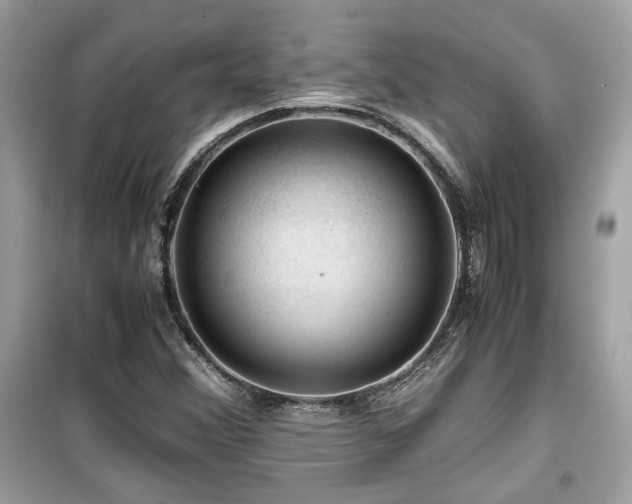 X0000099531356200805161201