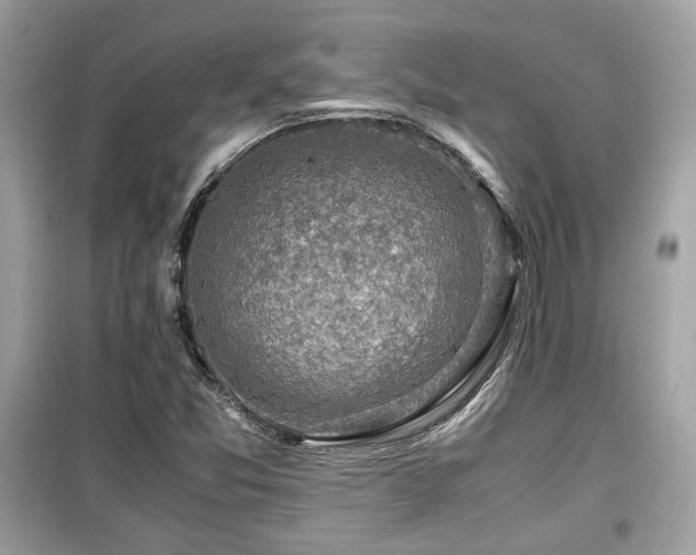 X0000099531357200805161201