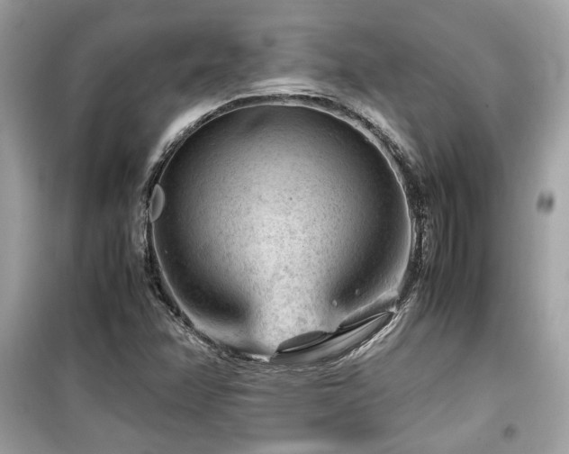 X0000099531358200805161201