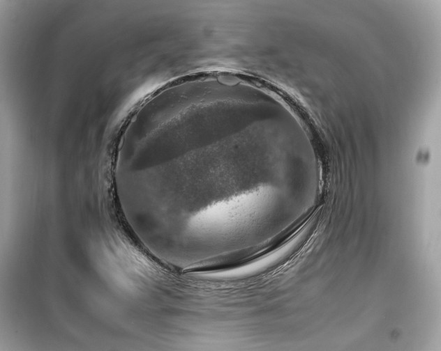 X0000099531359200805161201