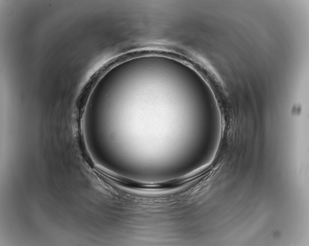 X0000099531360200805161201